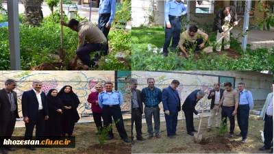 مشارکت سرپرست مدیریت و جمعی از همکاران مدیریت امور پردیس های استان خوزستان در  کاشت نهال روز درختکاری .