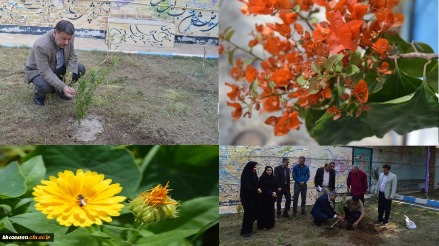 مشارکت سرپرست مدیریت و جمعی از همکاران مدیریت امور پردیس های استان خوزستان در  کاشت نهال روز درختکاری .