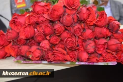 تکریم وتقدیر از بازنشستگی آقای راخدایی ( کارشناس مسئول طرح برنامه وبودجه وامور مالی مدیریت امور پردیس های استان خوزستان