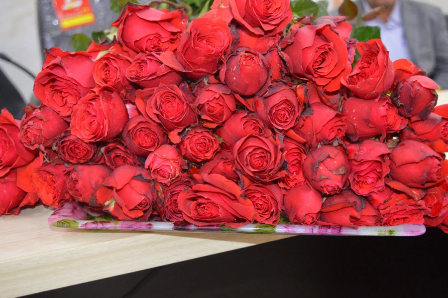 تکریم وتقدیر از بازنشستگی آقای راخدایی ( کارشناس مسئول طرح برنامه وبودجه وامور مالی مدیریت امور پردیس های استان خوزستان