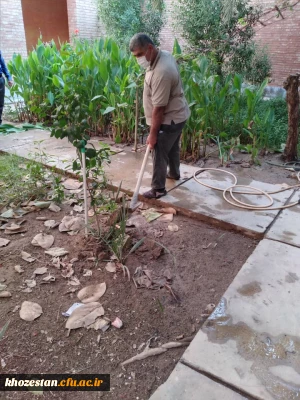 کاشت نهال به مناسبت هفته تربیت بدنی در پردیس حضرت رسول اکرم(ص) خوزستان