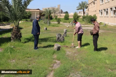 کاشت نهال در پردیس حضرت رسول اکرم(ص) خوزستان