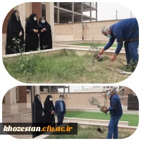 کاشت نهال در محوطه مجتمع رفاهی سرای دانشجویی پردیس حضرت فاطمه الزهرا(س) اهواز