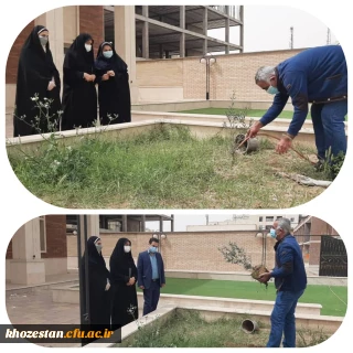 کاشت نهال در محوطه مجتمع رفاهی سرای دانشجویی پردیس حضرت فاطمه الزهرا(س) اهواز