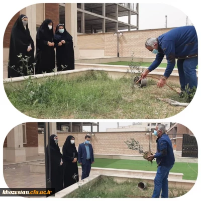 کاشت نهال در محوطه مجتمع رفاهی سرای دانشجویی پردیس حضرت فاطمه الزهرا(س) اهواز