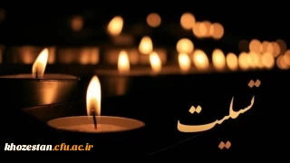 درگذشت همکار ارجمند جناب آقای ناصر بروایه