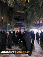 دیدار با خانواده ی شهید محمدرضا آل مبارک به مناسبت هفته ی بسیج و ایام مبارک فاطمیه