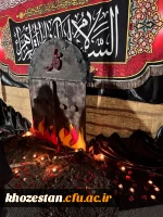 مراسم فاطمیه به میزبانی خادمان حرم امام رضا(ع) و چایخانه رضوی