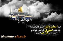 سالروز وفات حضرت زینب کبری سلام الله علیها تسلیت باد