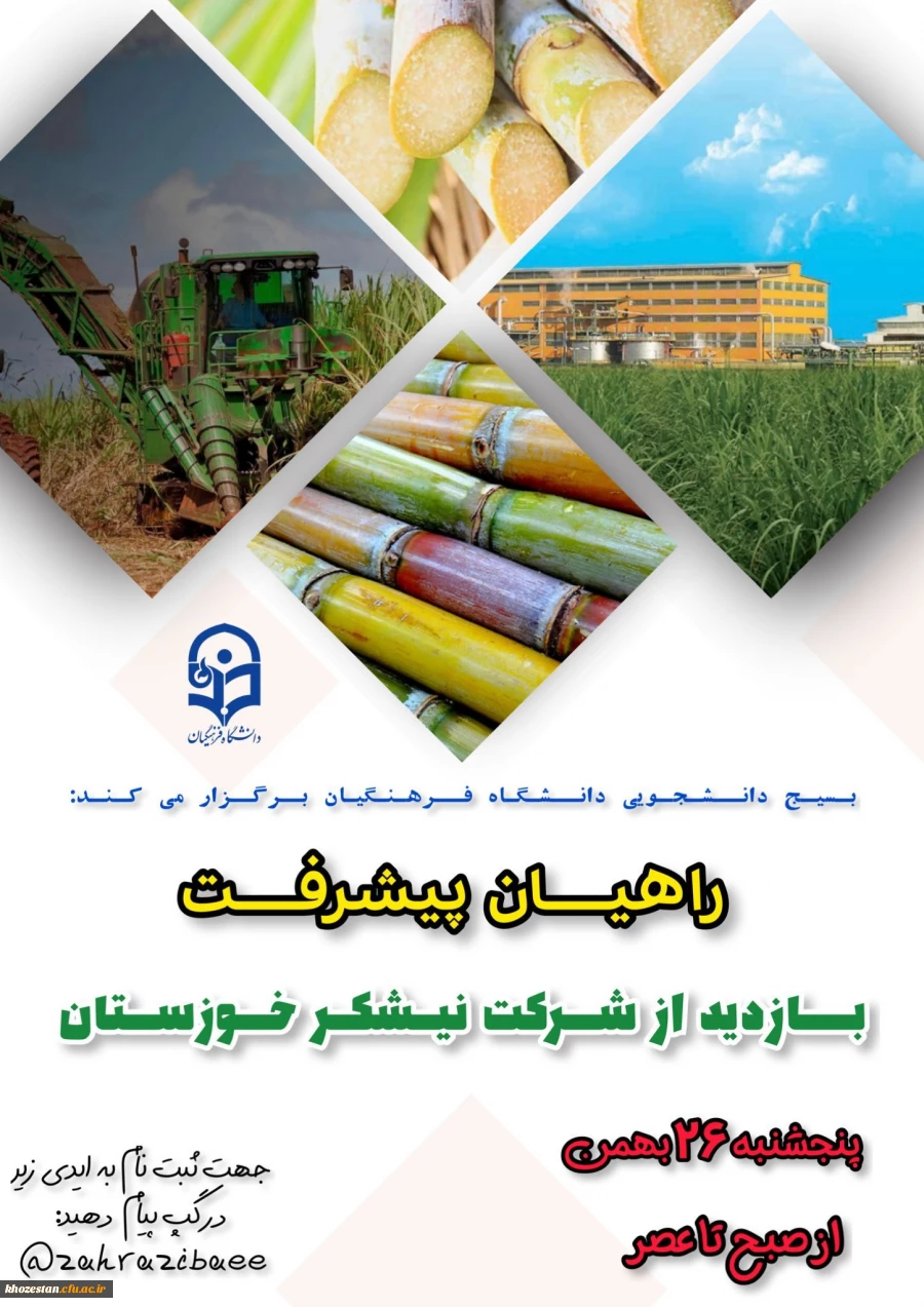 بازدید از شرکت نیشکر خوزستان