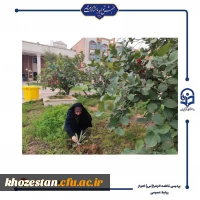 مراسم روز درختکاری در دانشگاه فرهنگیان_پردیس حضرت فاطمه الزهرا(س) اهواز