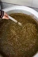 WhatsApp Video 2021-09-29 at 17.40.55